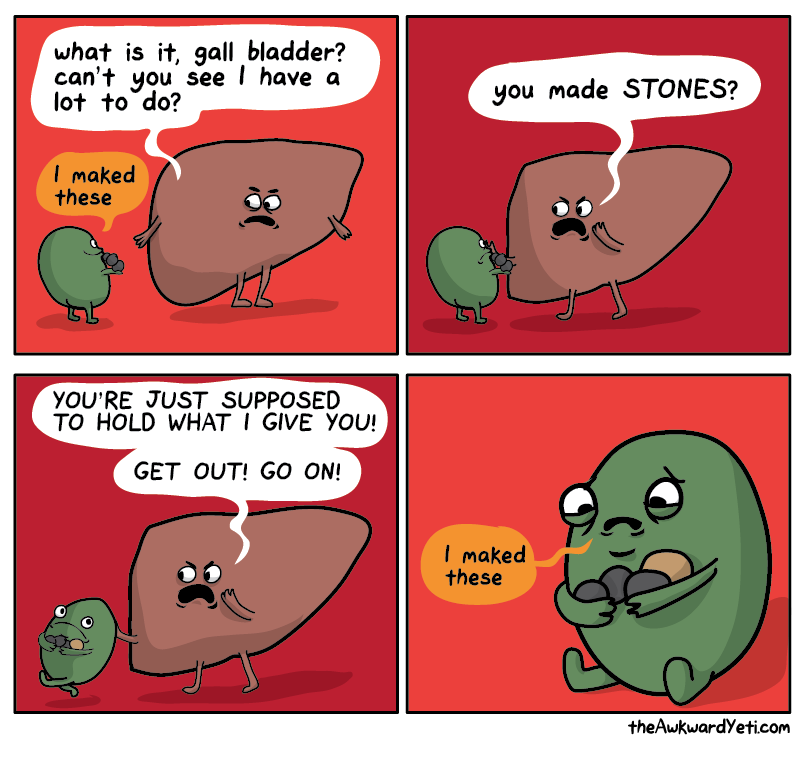 gall-bladder.png
