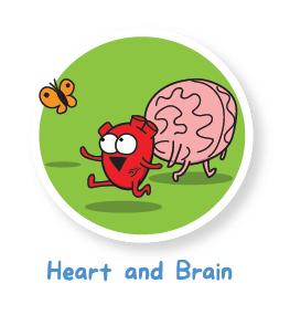 heart-and-brain.png