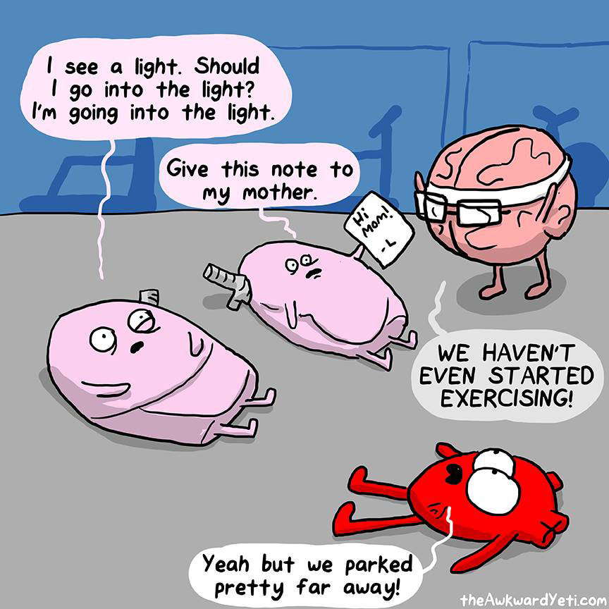 Image result for the awkward yeti workout