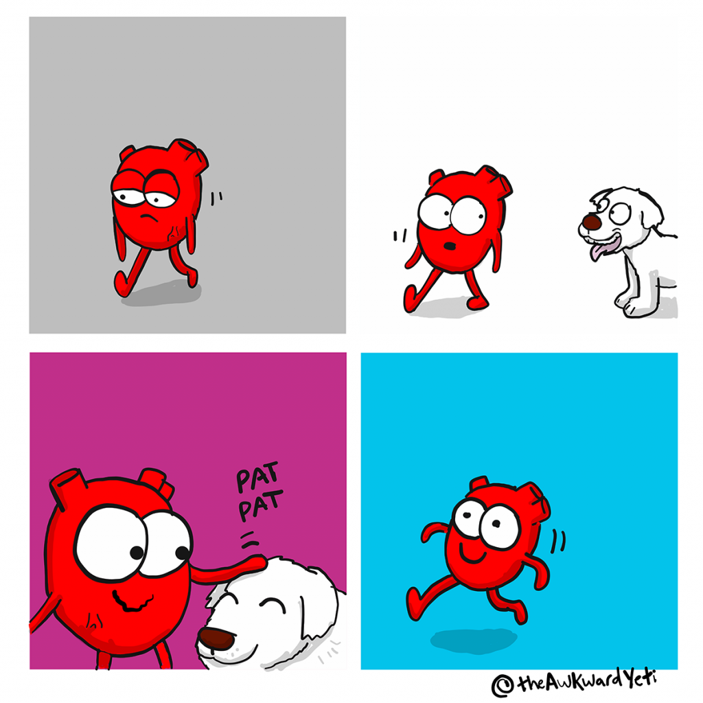 The Awkward Yeti | Heart Plus Dog